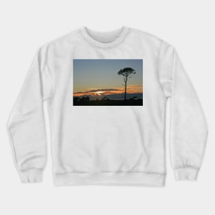 Tree Silhouette, Canford Heath, June 2020 Crewneck Sweatshirt